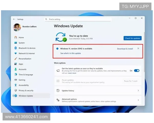 亚博YB平台网页版最新版本下载与升级方法详解