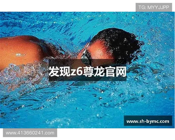 尊龙z6.com网站登录入口常见错误及解决方案，帮助用户排除登录障碍