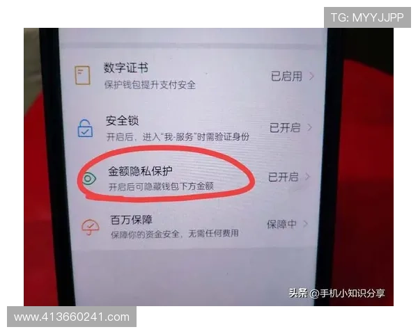 掌握在e尊官方平台上进行支付的多种方式，保障你的资金安全与交易便捷