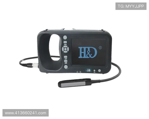 凯时尊龙app官网登录入口网址安全可靠的登录入口地址及常见问题解决方案